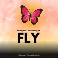 Fly - Single - Zenji Boy