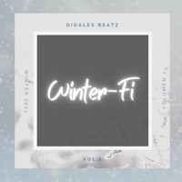 Winter-Fi - Dioalex Beatz