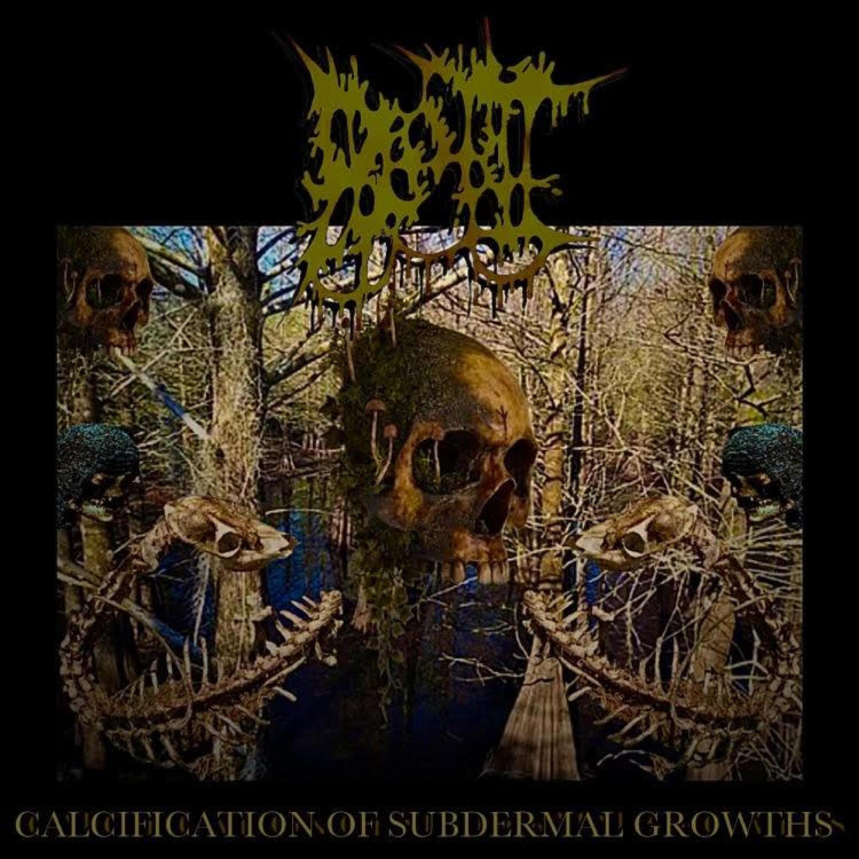 Blot - Rumbidzwai Mwari