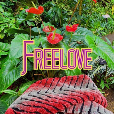 Freelove - Single