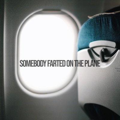 Somebody Farted On the Plane - Single