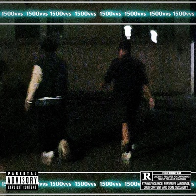 1500VVS (Single) - Single