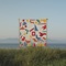 Calder Shapes - Matthew Halsall lyrics