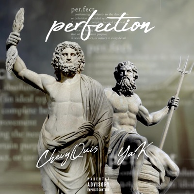 Perfection - Single