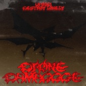 Drone Damaggge artwork