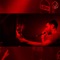 Bo (Radio Edit) - DJ D & Grimms lyrics