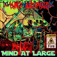 Mind Still At Large - King Androz