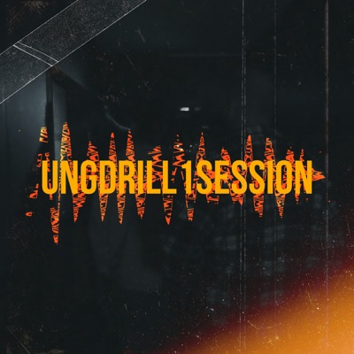 UNGDRILL1SESSION (feat. Vudik & Filipciuc) - Single