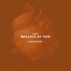 Because of You (Barbur Remix) - Single