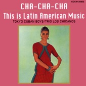 Cha Cha Cha Flamenco artwork