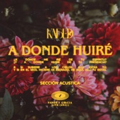 A Donde Huiré (Sección Acustica) artwork