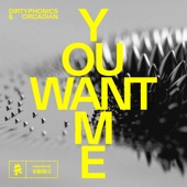 You Want Me artwork