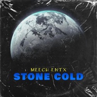Stone Cold (feat. Prod by Dj Quezzz) - Single - Meech Entx
