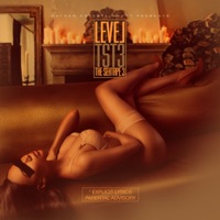 The Sextape 3 - Level