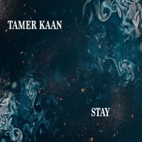 Stay - Single - Tamer Kaan