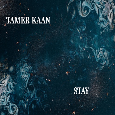 Stay - Single