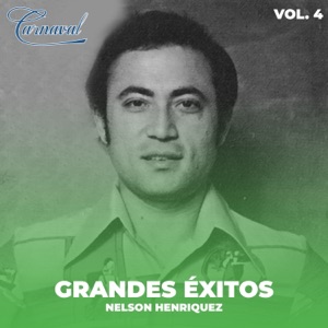 Grandes Éxitos Vol. 4