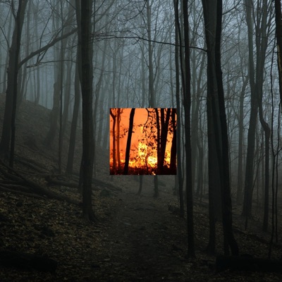 pari passo (feat. Skavo) - Single