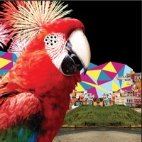 El Guincho - Palmitos Park