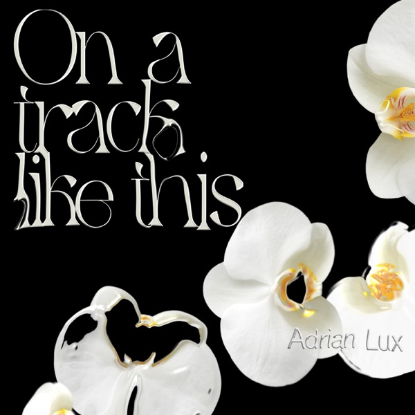 On a Track Like This - Single