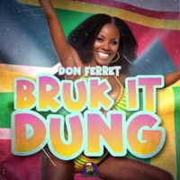 Bruk It Dung - Single - Don Ferret