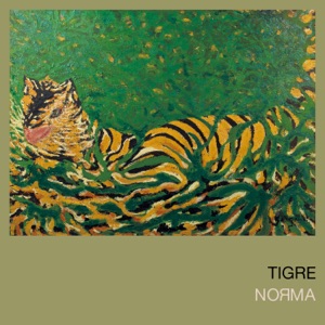 Tigre