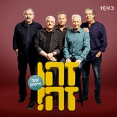 צעיר לנצח (feat. גידי גוב, Avi Kushnir, Moni Moshonov (מוני מושונוב), Shlomo Baraaba (שלמה בראבא) & Doval'e Glickman) [LIVE] artwork