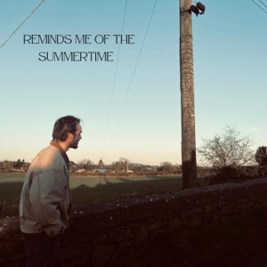 Reminds Me of the Summertime - Single