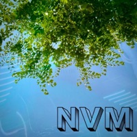 Rainy Biweekly - Single - ifyouWilL