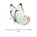 Mariposas de Plata y de Marfil