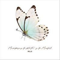 Mariposas de Plata y de Marfil - Single - Millie