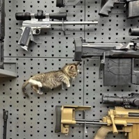 Do Betta - Single - vonniesaint