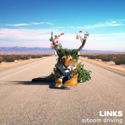 Sitcom Driving - Single