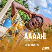 Aaaah! - Single - Steve Mweusi