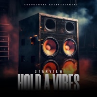 Hold a Vibes - Single - Starview