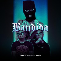 Bandida (feat. Tanis el Melódico) - Single - Malik J