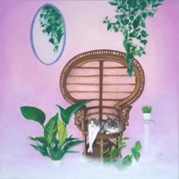 Reflections - Charmer & Klay