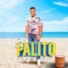 El Palito - Single