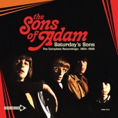 The Sons of Adam - You're A Better Man Than I