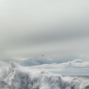 Tides - Single
