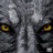 Wolf's Reign (feat. M-16 thegreat)