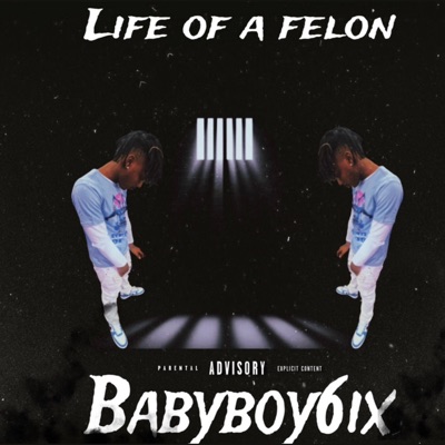 Life of a Felon