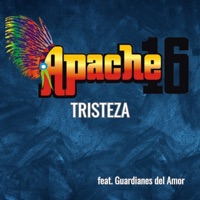Tristeza (feat. Guardianes del Amor) - Single - Apache 16