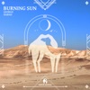 Burning Sun - Single