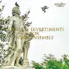 Henk De Graaf, Jan Jansen, Remco de Vries, Sandra Zoe, Ron Tijhuis, Irma Kort, Johan Steinmann, Dymphna Van Dooremaal, Martin van de Merwe & Jos Buurman - Divertimento in E-Flat Major, K. Anh. 226: V. Rondo