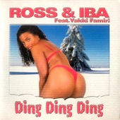 Ding Ding Ding (Radio Mix 2001) artwork