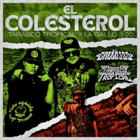 El Colesterol - Single - Tarasco Tropical & La Gallo 3:20