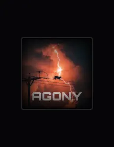 Posłuchaj wykonawcy MaybeMxlly, obejrzyj teledyski, przeczytaj biografię, zobacz daty tras koncertowych i nie tylko!