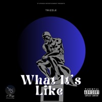 What It's Like - Single - Trizzle