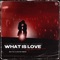 Max Fail;AGATINO ROMERO - What Is Love